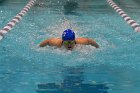Swimming vs CGA  Wheaton College Swimming & Diving vs Coast Guard Academy. - Photo By: KEITH NORDSTROM : Wheaton, Swimming, diving
